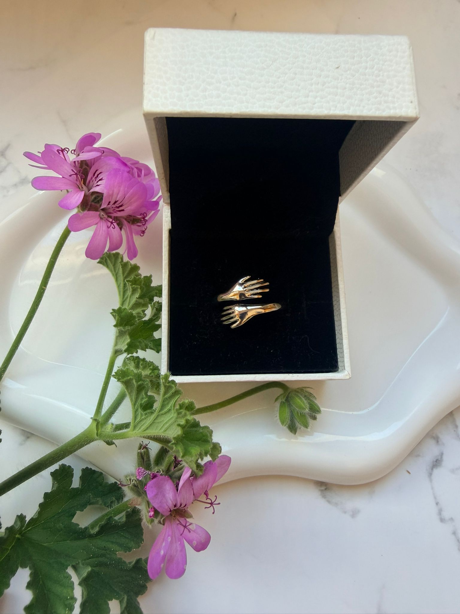 Anillo Manos Unidas